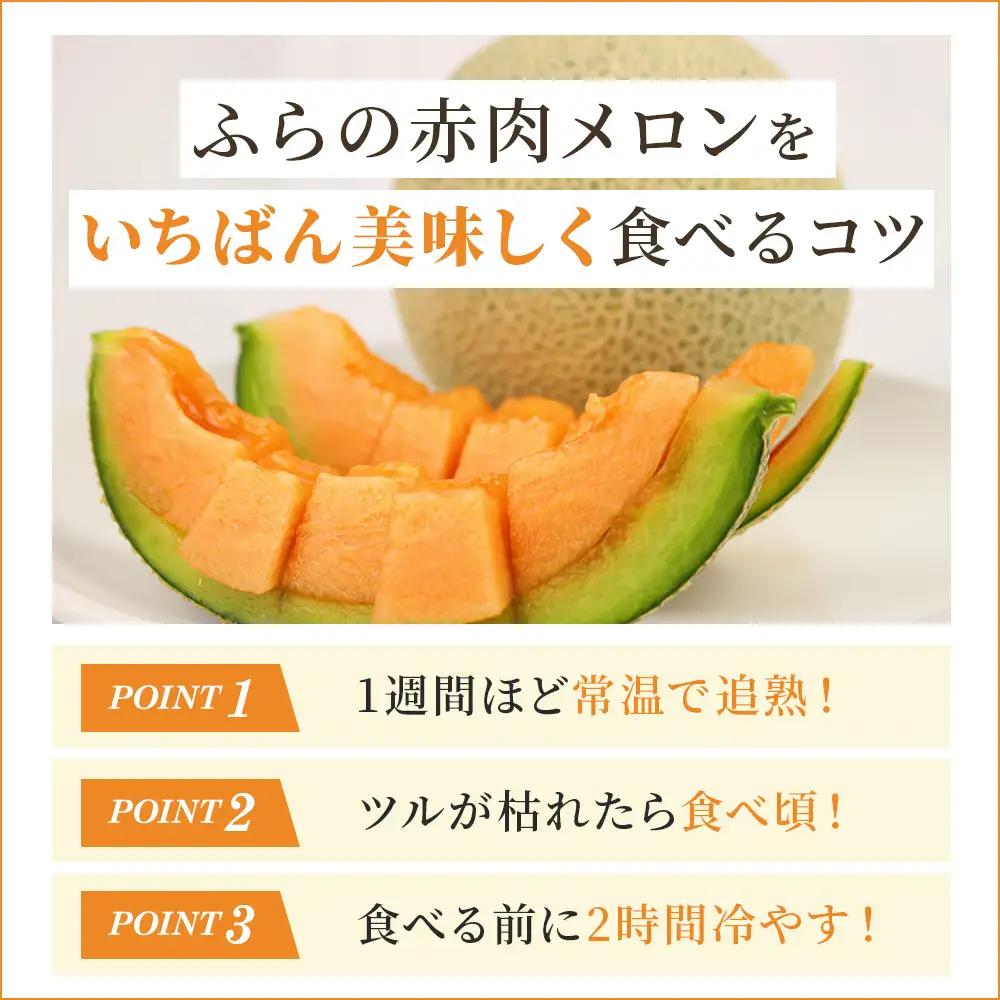 【令和8年産】ふらの 赤肉メロン 2kg～2.6kg 2玉 厳選 秀品 メロン