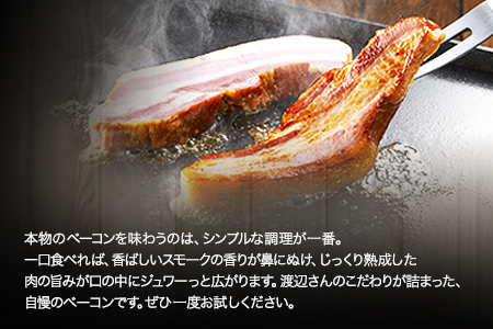 ★ミシュラン掲載店★ 無添加・天然塩 ヒグラシベーコン 蜩窯  170g×10本 《30日以内に出荷予定(土日祝除く)》