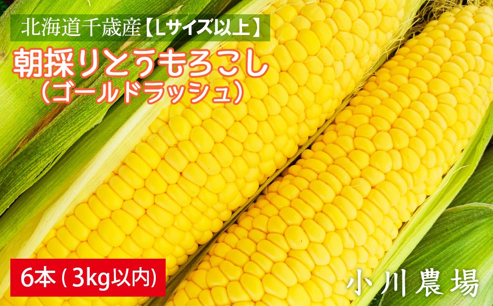 
                  2026年発送予約☆北海道千歳産【Lサイズ以上】朝採りとうもろこし（ゴールドラッシュ）6本 3kg以内【小川農場】
                