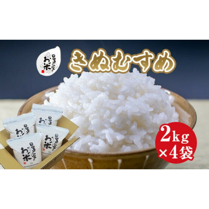 【ふるさと納税】【内容量が選べる】令和7年産新米 きぬむすめ 精米 無洗米 8kg 9kg 10kg 日置さん家のお米 | 米 白米 ブランド米 鳥取県産 ごはん 白米 おにぎり 弁当 2025年産 キヌムスメ こめ 鳥取 国産