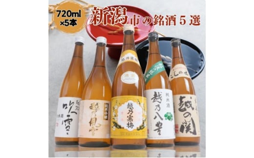 日本酒 飲み比べセット 越後銘門酒会 新潟市の銘酒 飲み比べ 720ml×5本 （越乃寒梅 越乃八豊 越の関 雪乃風雪 越路吹雪）N725A 新潟 セット 辛口 ギフト 正月 年越し