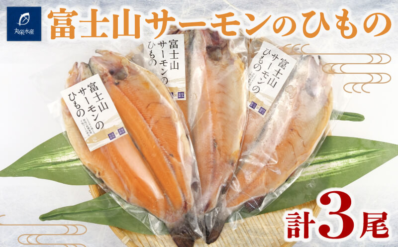 
            干物 富士山 サーモン 3尾  冷凍 ブランド 鮭 冷凍 人気 コスパ 養殖 本場 静岡 沼津 美味しい ランキング
          