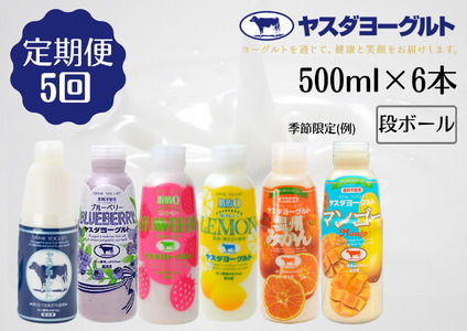 【5か月定期便】ヤスダヨーグルト 500ml×6本×5回 バラエティセット こだわり生乳 濃厚 1B30046