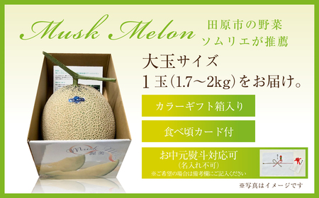 2027年先行予約 数量限定 野菜ソムリエ推薦渥美半島伊良湖潮風育ちマスクメロン1玉大玉サイズ(1.7～2キロ)カラーギフト箱入り 2026年６月下旬～８月上旬発送 田原市 伊良湖産 ギフト プレゼン
