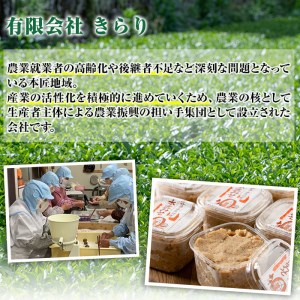 因尾茶 ティーバッグ (計66個・22個入×3袋) お茶 緑茶 茶 ティーバッグ 釜炒り 因美茶 特産品 お取り寄せ 大分県 佐伯市【AH67】【(有)きらり】