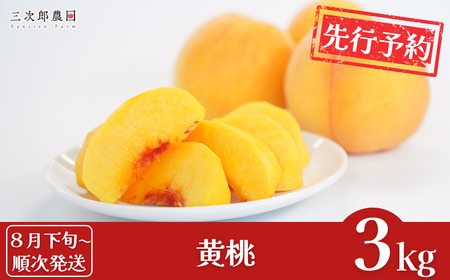 先行予約 黄桃 約3kg（9玉～11玉入り） [8月下旬から発送予定] 令和7年度 贈答用 新潟県三条市産 桃（黄桃） [三次郎農園] 【015S019】