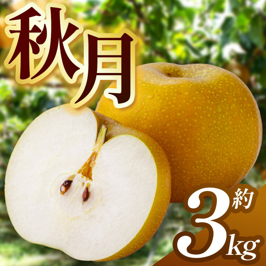 【ふるさと納税】 梨 秋月 3kg 先行予約 2025年 | 梨 なし 豊水 幸水 秋月 にっこり 果物 フルーツ デザート おいしい 定期便 限定 送料無料 栃木県 下野市