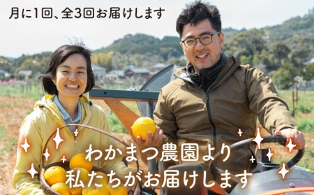 【全3回定期便】【 植物 由来 】万能 濃縮 甘夏 みかん 洗剤 糸島市 / わかまつ農園[AHB017]