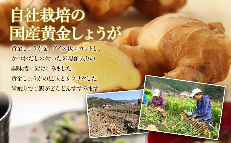 味付け 極しょうが 110g×10袋 計1100g しょうが Xnb-0014
