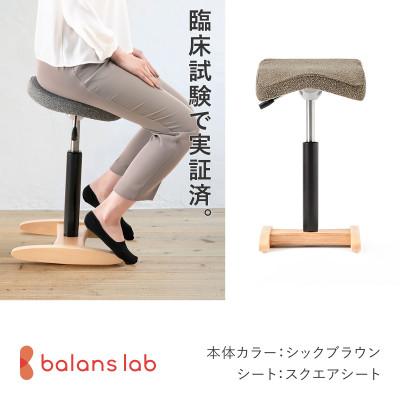 ふるさと納税 美濃市 バランス シナジー スクエアシート 日本製 [シックブラウン]