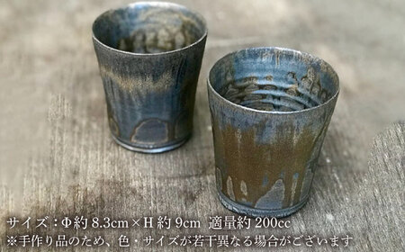黒金彩 焼酎カップ2個セット《糸島》[ASE005] 焼酎グラス 焼酎 酒器 プレゼント おしゃれ 高級 ギフト 贈り物