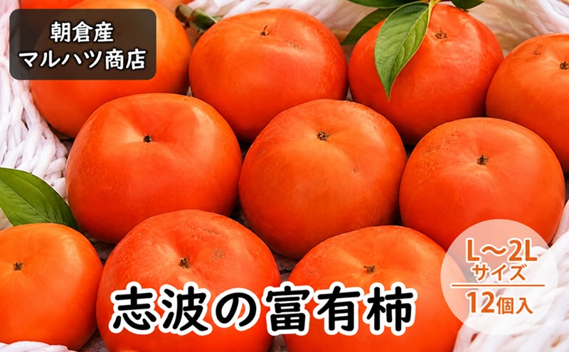 柿 志波の富有柿 L～2Lサイズ×12個入 マルハツ商店 果物類 かき 