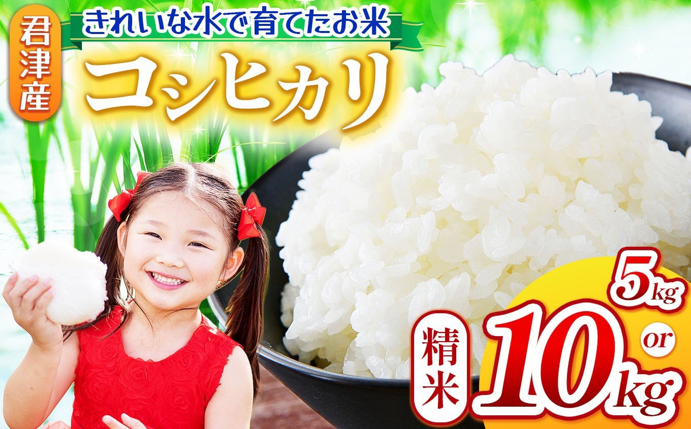 
            【 ９月下旬から順次発送 】 新米 令和7年産 コシヒカリ 5kg or 10kg 精米 きれいな水で育てたお米 | 保坂農場 ちばエコ農産物 君津市産 イチオシ 千葉 君津市 きみつ 房総
          
