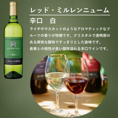 ふるさと納税 上越市 岩の原ワイン　「日本のワインぶどうの父」が生み出した希少ぶどう品種　白3本セット |  | 02