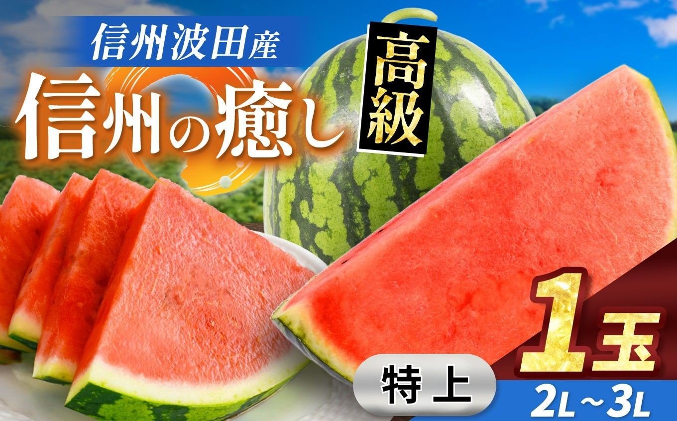
            【先行受付：2026年7月発送】信州波田産 贈答用 高級スイカ！ 信州の癒し 【特上】 2L～3Lサイズ 1玉｜ふるさと納税 長野県 信州 松本 果物 フルーツ すいか スイカ 西瓜 新鮮 大きい 特別 贈答 季節限定 甘い くだもの ふるーつ
          