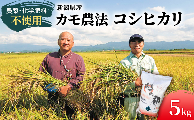 カモ農法コシヒカリ5kg 米 精米 白米 コシヒカリ 5kg こめ コメ お米 おこめ こしひかり カモ農法 農薬不使用 化学肥料不使用 新潟 新潟県 