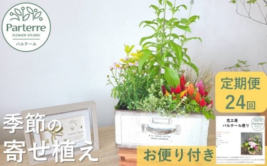 【定期便 / 毎月2回 計24回 お届け】季節の寄せ植え 定期便 お花 季節 贈り物 岩手県 北上市 R0122 ギフト プレゼント おしゃれ 花 季節 アレンジ 敬老の日 母の日 還暦 古希 喜寿 クリスマス 正月 バレンタイン ホワイトデー 祝い