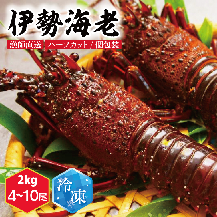 【漁師直送／活〆冷凍】伊勢海老（2kg／4～10尾）（KBL-19)