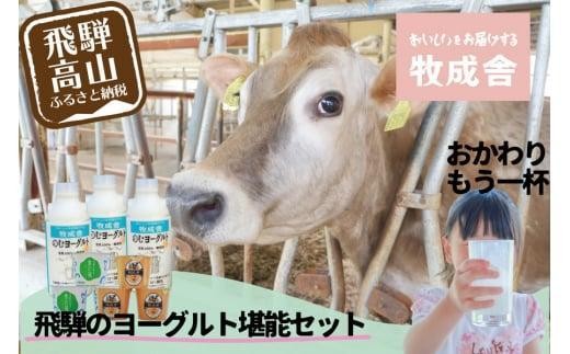 
                  【寄附額見直しました！】『牧成舎』 飛騨のヨーグルト堪能セット （ヨーグルト2種 / 飲むヨーグルト1種）| ヨーグルト 食べ比べ 飲むヨーグルト 乳製品 セット 飛騨高山 牧成舎 DF011VP
                