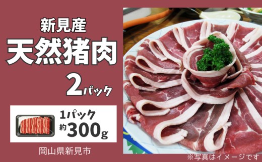 新見産 天然猪肉 極上詰め合わせ スライス肉 約300g×2 【12月上旬～8月下旬頃発送】