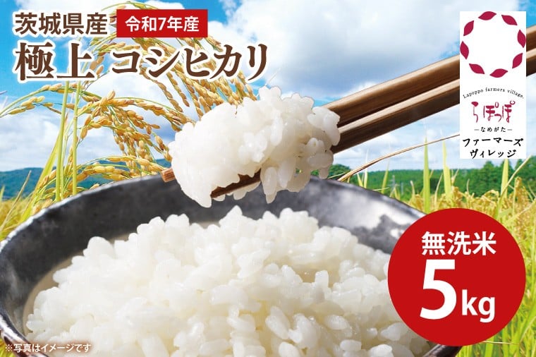 
            【数量限定】★令和7年産★人気の個包装でお届け！茨城県産 極上 コシヒカリ5kg(無洗米)｜米 お米 新米 こしひかり コシヒカリ らぽっぽなめがたファーマーズヴィレッジ らぽっぽファーム 国産 産地直送 無洗米 ふっくら もっちり おかず ごはんのおとも(CQ-85-1)
          