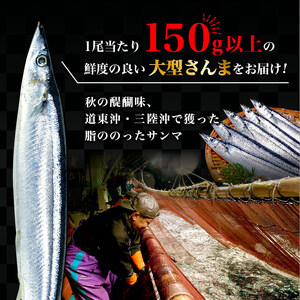 【予約受付】 特大さんま 150g以上 5尾 冷蔵 期間限定 [発送:2025年9月～2025年11月下旬頃まで] 三陸 岩手 大船渡市 サンマ さんま 秋刀魚 季節限定 鮮秋刀魚