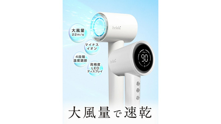 美ルル イオン ユーロス（速乾マイナスイオンドライヤー)　チャコールブラック