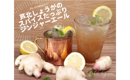 
B68-09 Ashikita Spices Ginger（アシキタ スパイス ジンジャー）
