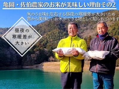 令和8年産【12回定期便】白米 コシヒカリ 5kg 精米 定期便
