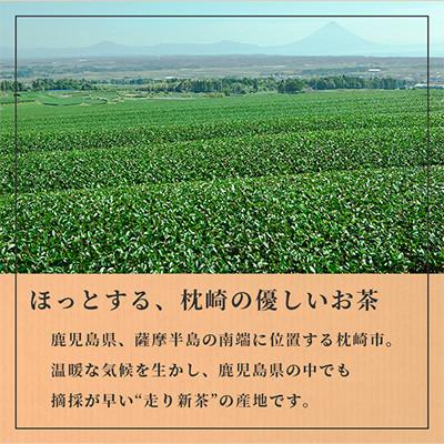ふるさと納税 枕崎市 【のし付き・お歳暮】一番茶のみ使用　ほっこり煎茶 100g×3袋 A5-1S |  | 02