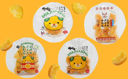 ＜アイスフルーツボックス（ミックス3袋、柑橘5袋） 2回定期便＞ 冷凍みかん 冷凍果実 温州みかん 甘平 ぽんかん せとか いちご ぶどう 果物 くだもの 渡江から一歩を踏み出す会 愛媛県 西予市【冷