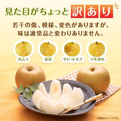 【訳あり】鳥取県産旬の梨セット 4kg【配送不可地域：離島・北海道・沖縄県】