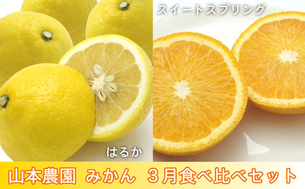 
                  【セット】太良町 山本農園 3月食べ比べセット 5kg（はるか、スイートスプリング 各2.5kg）
                