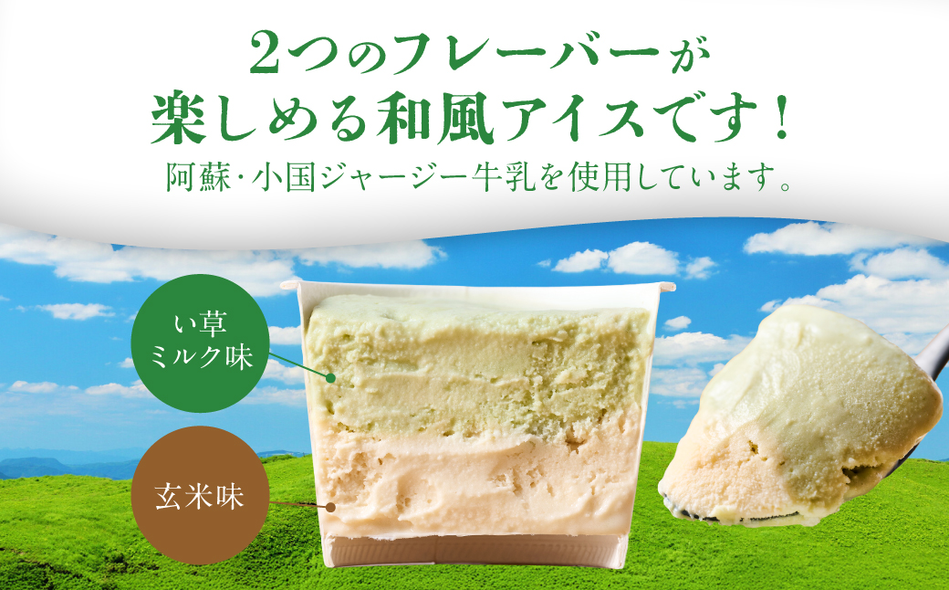 たたみアイス 12個入 いぐさ 畳 スイーツ いぐさミルク味 玄米味 食用いぐさ 和風アイス デザート おやつ ジャージー牛乳使用
