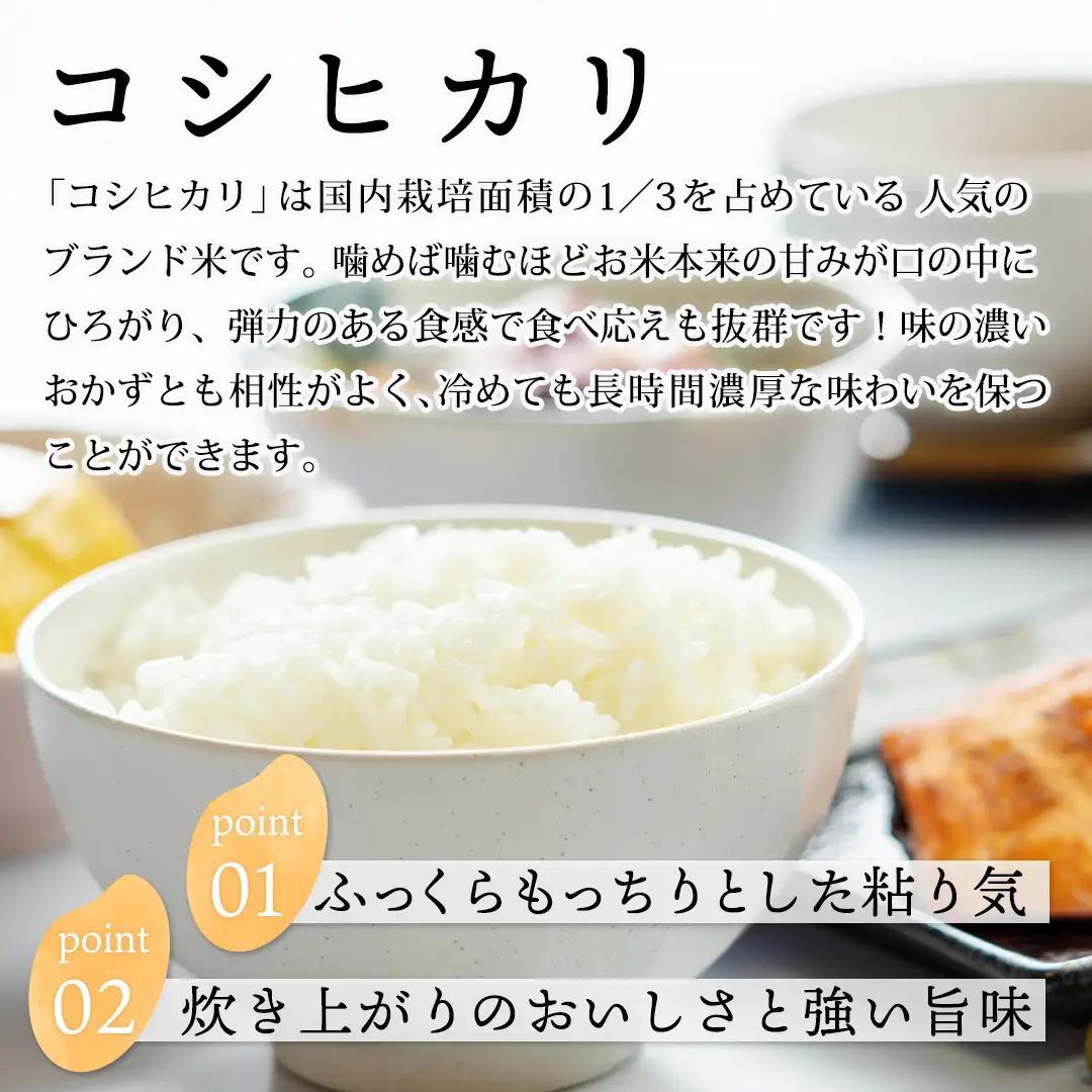 Y1111 因幡の白兎米 コシヒカリ 令和8年度産 精米済 5kg