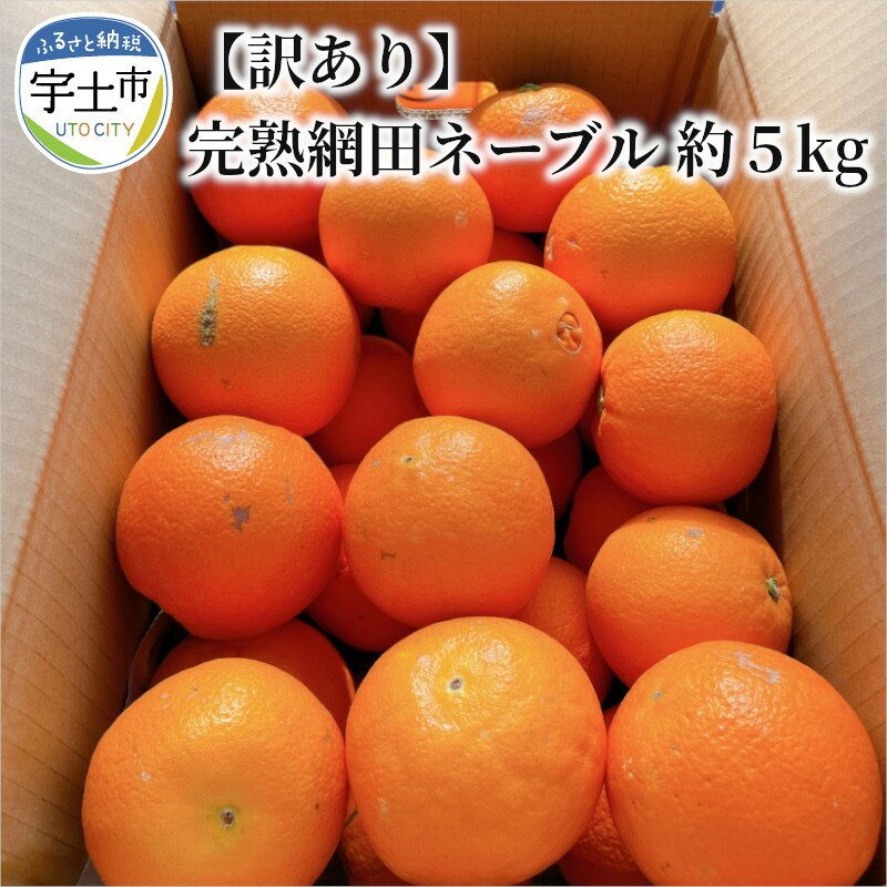 【ふるさと納税】訳あり 完熟 網田 ネーブル 約 5kg M 〜 3L 約 25玉 ジューシー 酸味 甘み バランス絶妙 国産 オレンジ 最高峰 皇室 献上品 旬 果物 果実 フルーツ 柑橘 みかん デザート お取り寄せ お取り寄せフルーツ 食品 送料無料【熊本県宇土市】
