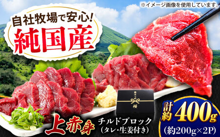 『純国産』熊本の味 上赤身 馬刺し 計約400g（約200g×2パック）ブロック チルド 冷蔵 タレ付き 【有限会社 九州食肉産業】[AYCN040]
