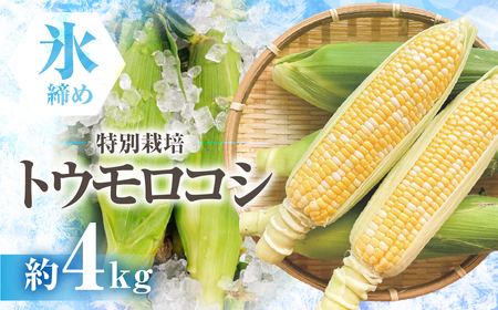 【先行予約】渥美半島産　寺田さんちのとうもろこし　バイカラ 10本～12本 約4kg とうもろこし デザート 農家直送 送料無料 朝採れ コーン 野菜 キャンプ BBQ バーベキュー おやつ 田原市 渥美半島 愛知県 夏 旬