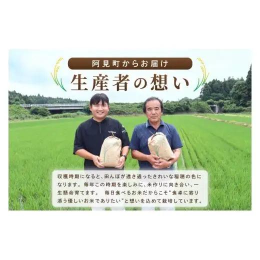 【2027年8月発送】米 にじのきらめき 精米 5kg 令和8年産 茨城県産 お米 こめ コメ ごはん 白米 ニジノキラメキ 茨城県産米 単一米 単一原料米 安心 安全 送料無料 国産 人気 数量限定