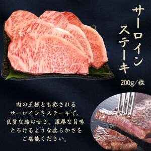 京都府産黒毛和牛【京の肉】サーロインステーキ 600g 包装・のし対応なし