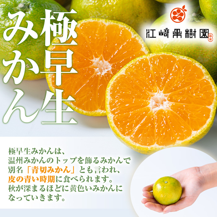 i1171 《数量・期間限定》鹿児島みかん（極早生系・約5kg） みかん 蜜柑 ミカン 柑橘 極早生 10kg 果物 フルーツ 果実 国産 鹿児島 訳あり 【江崎果樹園】