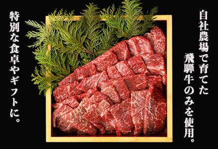 飛騨牛赤身焼肉セット 600g（もも焼肉 300g・かた焼肉 300g）最高級 国産 牛肉 ブランド牛 和牛 【22-27】【冷凍】