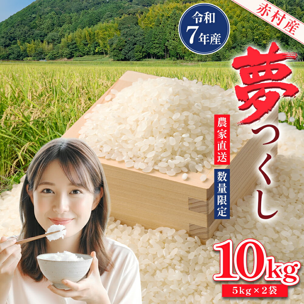 【ふるさと納税】 赤村産米 農家直送【数量限定】おこめ こめ 米 精米 夢つくし 10kg 福岡県 赤村 4U1