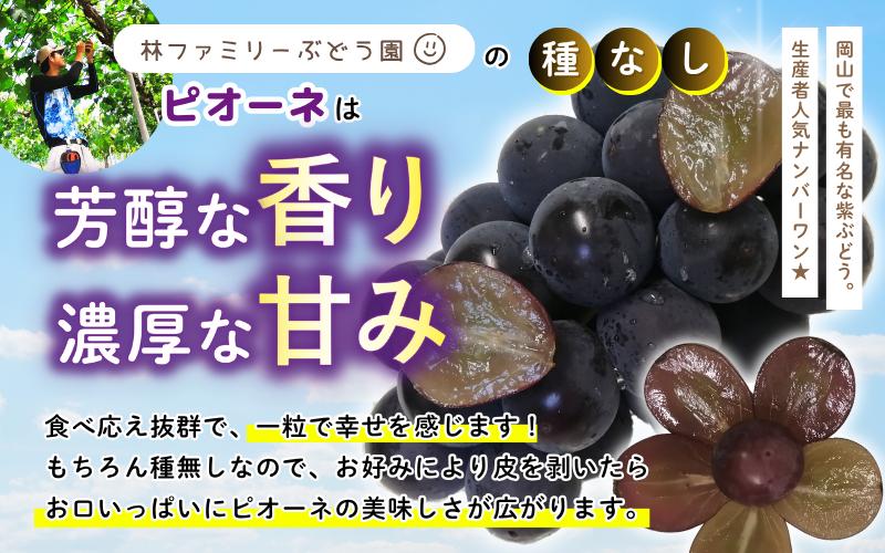 林ファミリーぶどう園の種なしピオーネは芳醇な香り濃厚な甘み