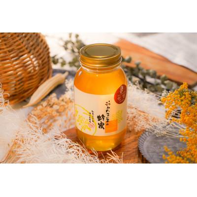 ふるさと納税 大垣市 【国産蜂蜜】　くろがねもち蜂蜜　1200g