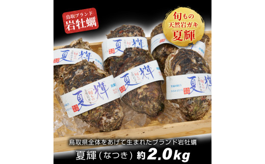 OM-28　岩牡蠣「夏輝」(約2kg)
