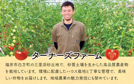甘くて皮が薄く食べやすい　福井市産ミディトマト『越のルビー』2kg以上 [A-180003]/ 福井市産 農家直送 とまと トマト フルーツトマト ミニトマト 野菜 やさい 新鮮 産地直送 甘い 完熟