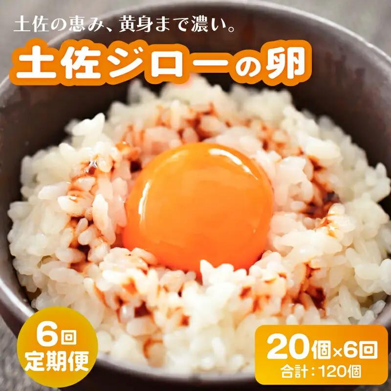 【卵 6回定期便】土佐ジロー 卵 20個×6 