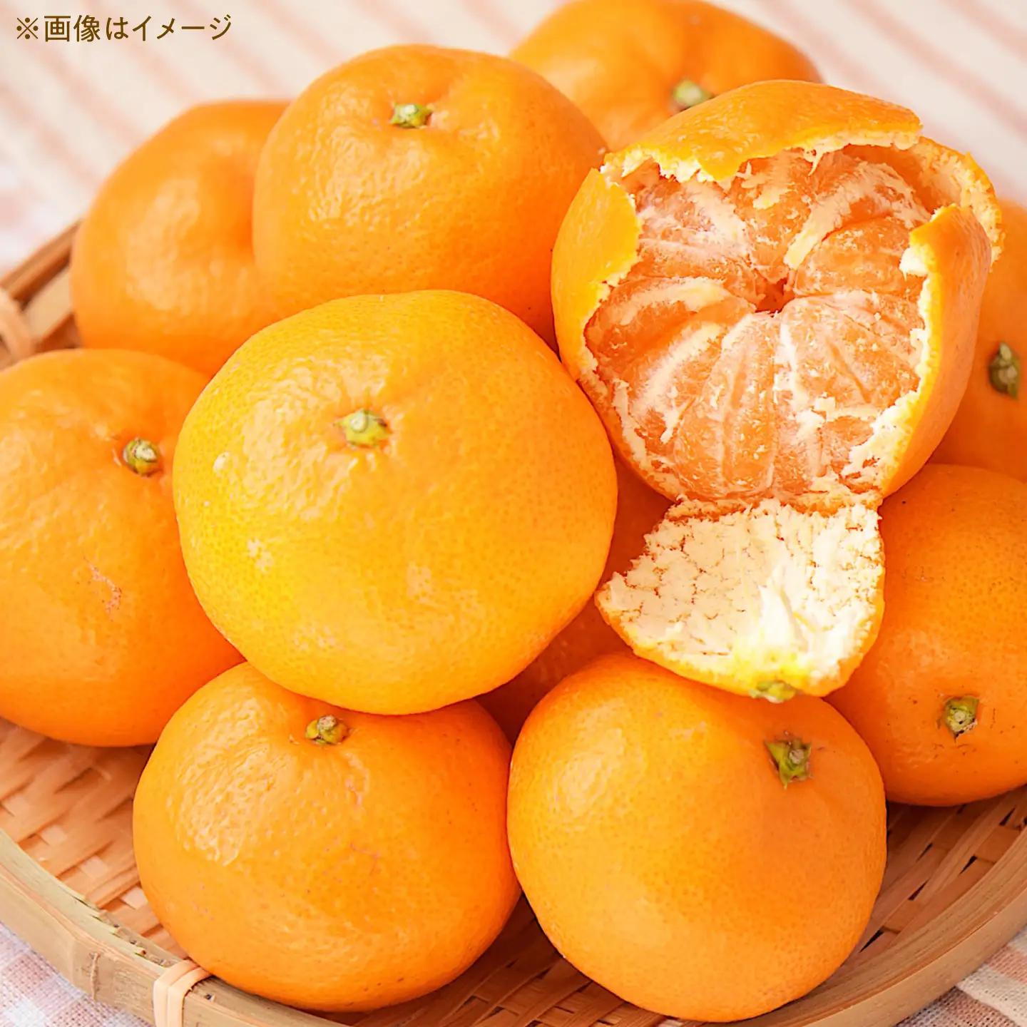 みかん 2回定期便 温州みかん 3kg×2回/ みかん ミカン 蜜柑 甘い フルーツ 果物 みかん ミカン 蜜柑 フルーツ 果物 みかん くだもの柑橘 旬 果実 甘味 酸味 甘い mikan 産地直送