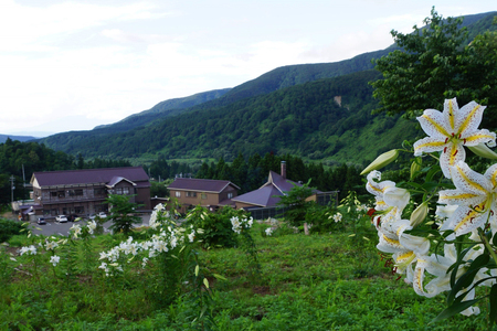北月山荘 オリジナルTシャツ Mサイズ モンベル製 mont-bell 半袖 ユニセックス 男女兼用 夏の快適素材 高機能素材【4010-012B-M】